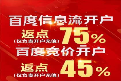 搜索开户返点揭秘：实战案例赚钱技巧
